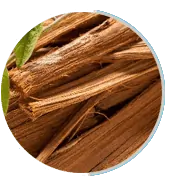Cat's Claw for Immune Support